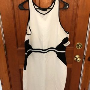 Fashion to Figure bodycon dress